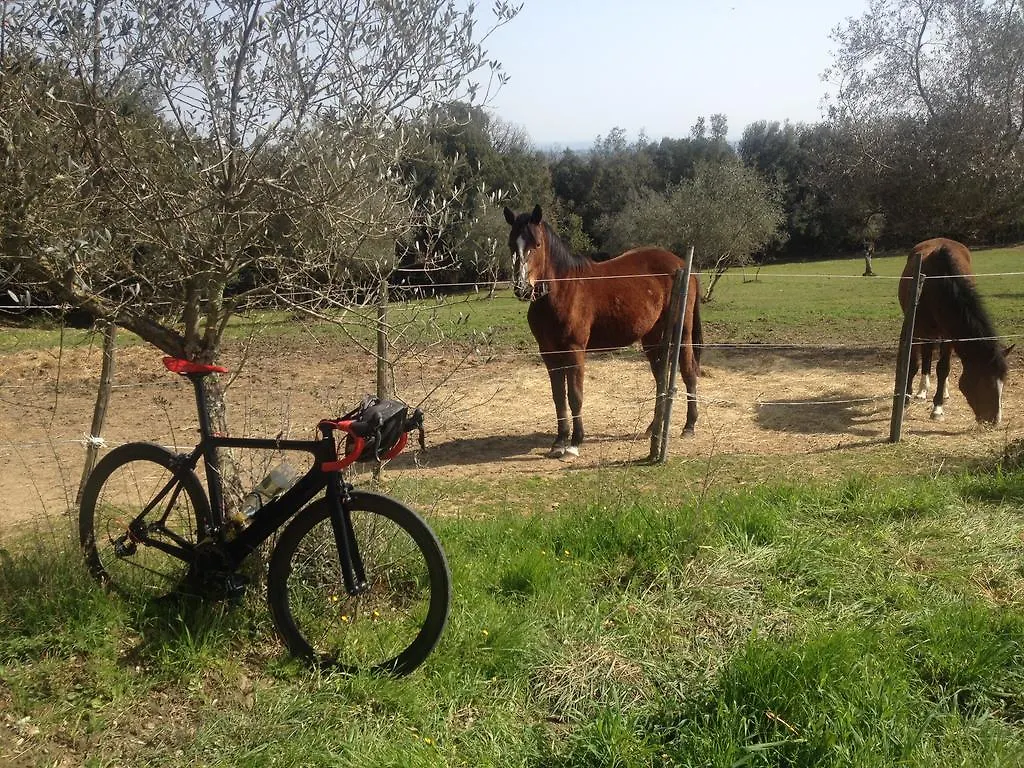 Tenuta Lupinari Bucine Italien
