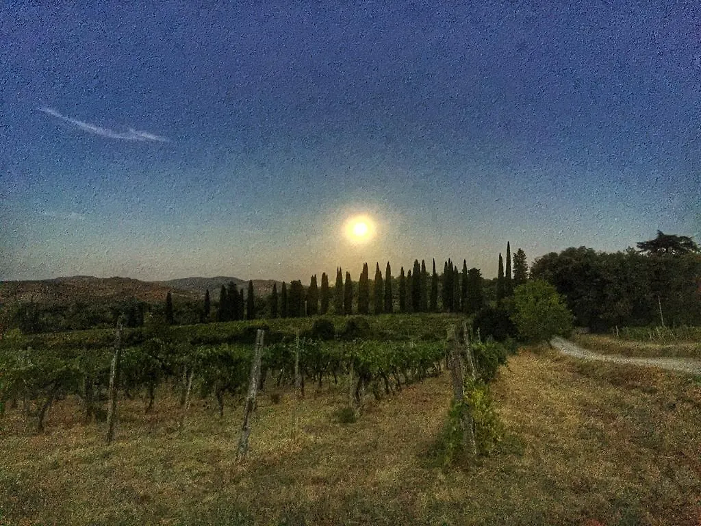 Tenuta Lupinari Bucine