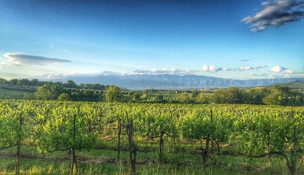 Alloggio per agriturismo Tenuta Lupinari Bucine