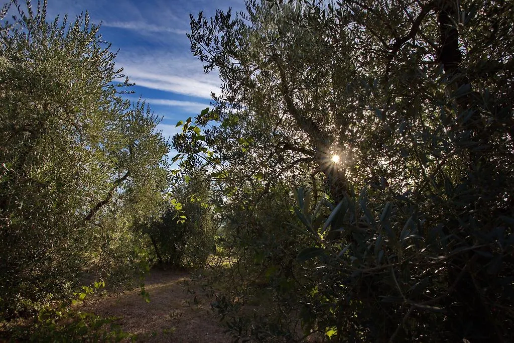 Tenuta Lupinari Bucine Alloggio per agriturismo